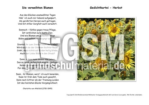 Die-verwelkten-Blumen-Ahlefeld.pdf